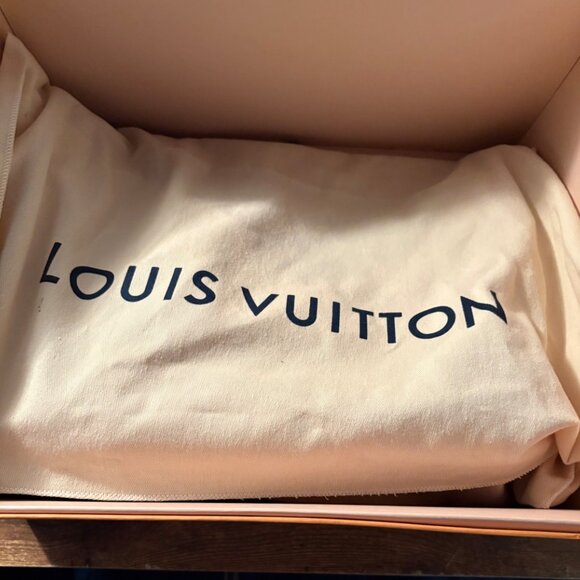 Louis Vuitton Jersey tote bag in Damier Ebene canvas with Bordeaux-colored - Picture 3 of 8
